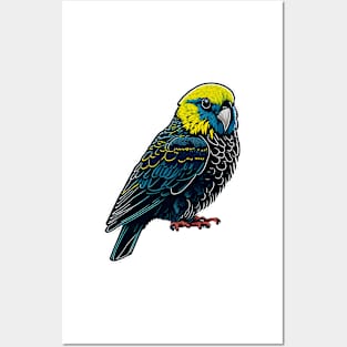 vintage black budgie vector sticker Posters and Art